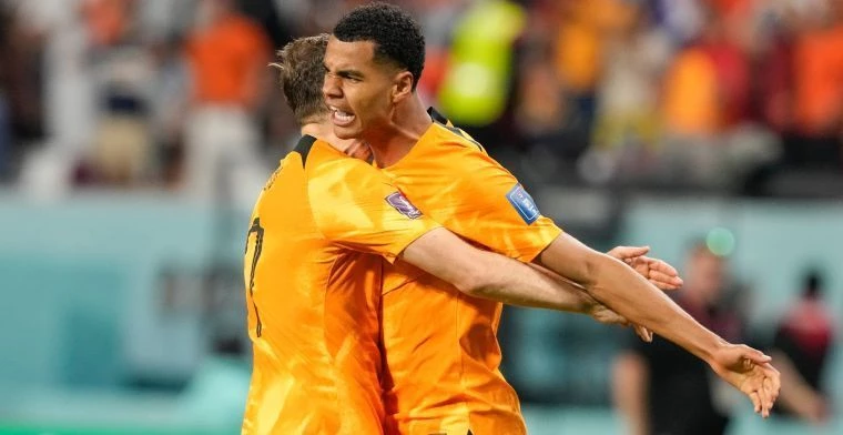 Oranje-aanvaller Cody Gakpo viert zijn goal tegen Ecuador